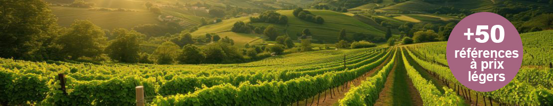 La référence des amateurs de vins de Bordeaux 